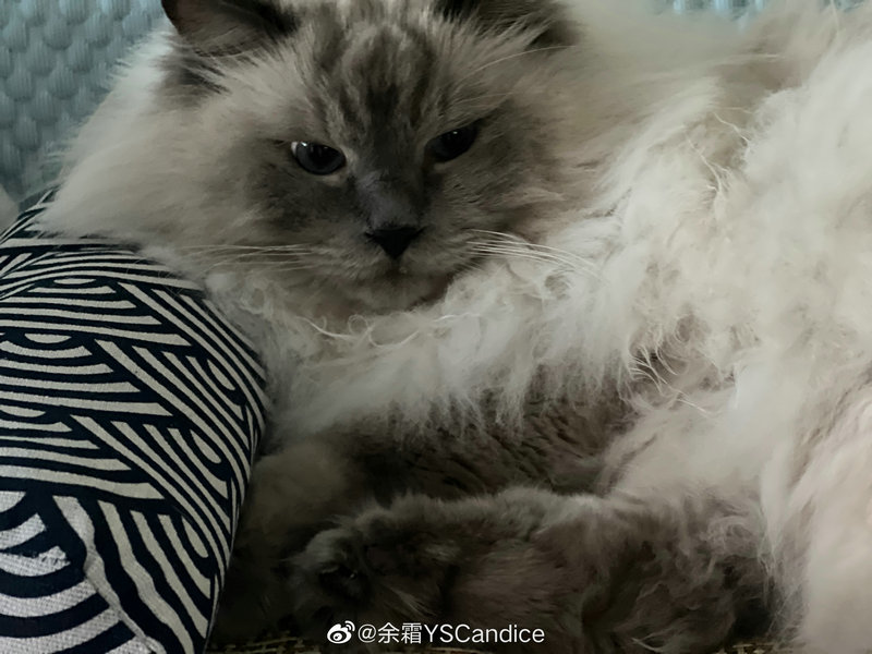 圆通手机号查快递 圆通手机号查快递