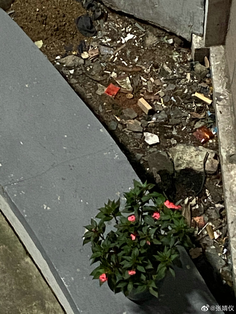 林永健演过的所有电视剧