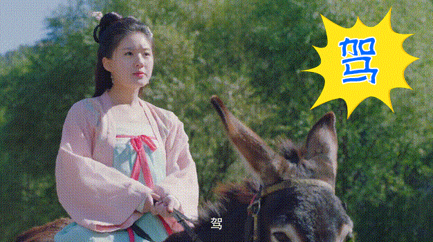 广场舞刘海砍樵(广场舞刘海砍樵(双扇))