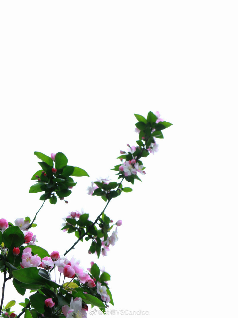 李连杰近况新闻今日头条