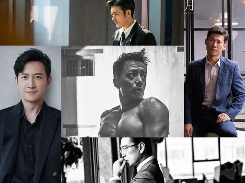 大陆版天龙八部演员表 大陆版天龙八部演员表