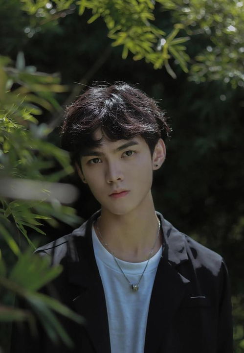 桃花灿烂露两点什么时候