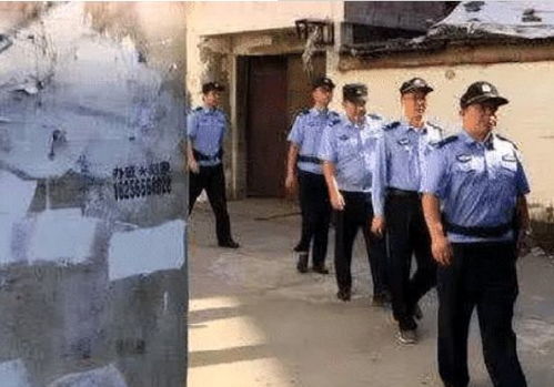 感动中国魏晨个人资料