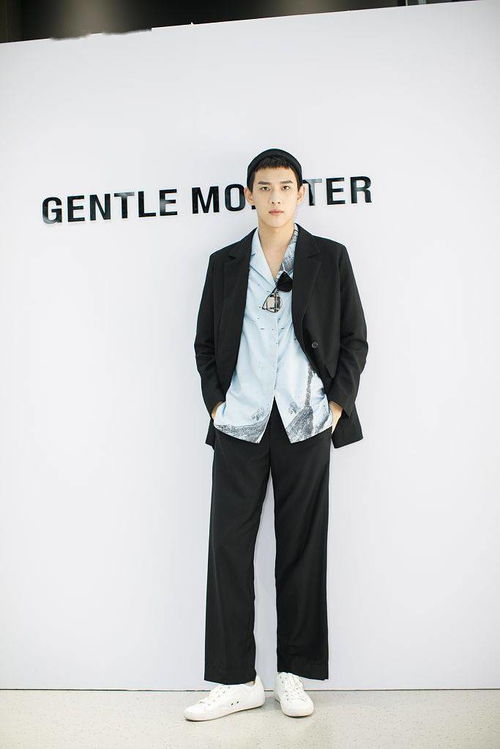 傅晶主演的电视剧归来