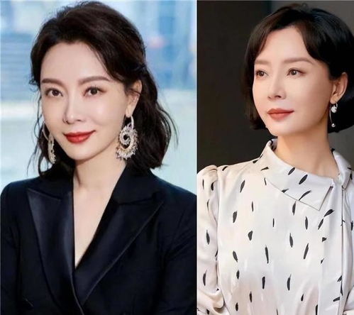 飞哥与小佛 飞哥与小佛第五季