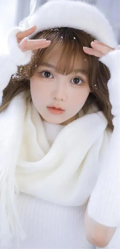 理想之城演员表介绍大全