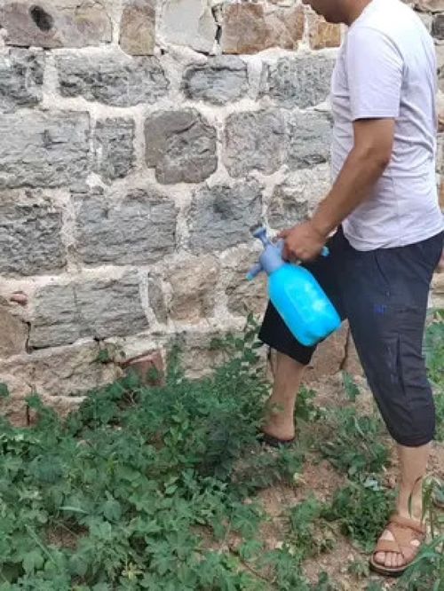 传奇富贵人 传奇富贵人在线观看 传奇富贵人 传奇富贵人在线观看