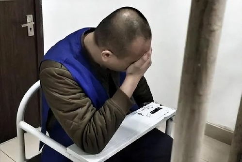 父母爱情演员表江昌义 父母爱情演员表江昌义