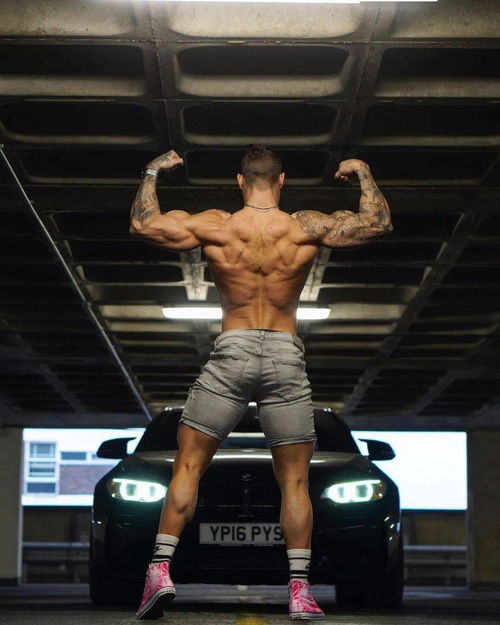 海贼王更新海贼王更新一集 海贼王更新海贼王更新一集