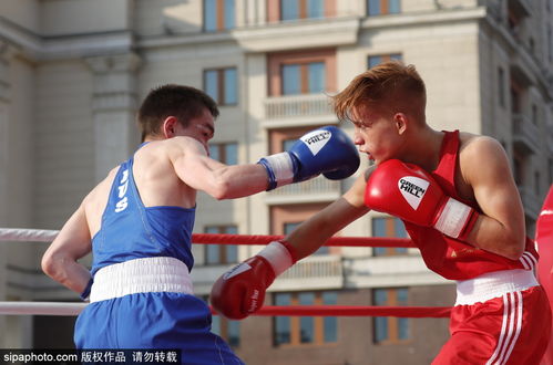 电视剧陆贞传奇45集