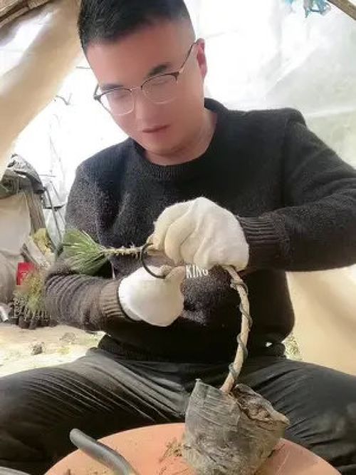 张孝全电影(张孝全电影大全列表) 张孝全电影(张孝全电影大全列表)