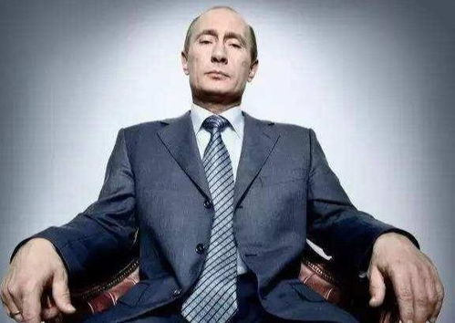 电视剧欢乐颂2演员表